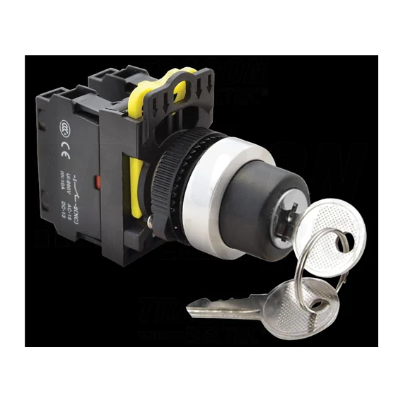 Kulcsos kapcsoló 1×NO+1×NC, 5A/230V AC-15, IP42