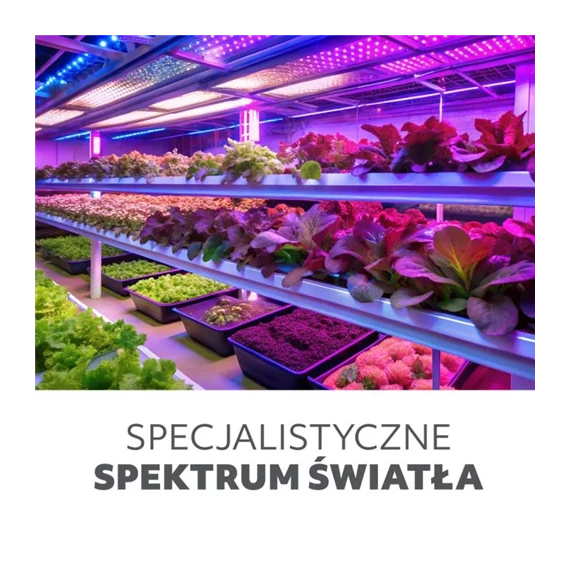 LED növénynevelő lámpa LED VITARO 3 ágú csiptetős 10W KOBI-001513