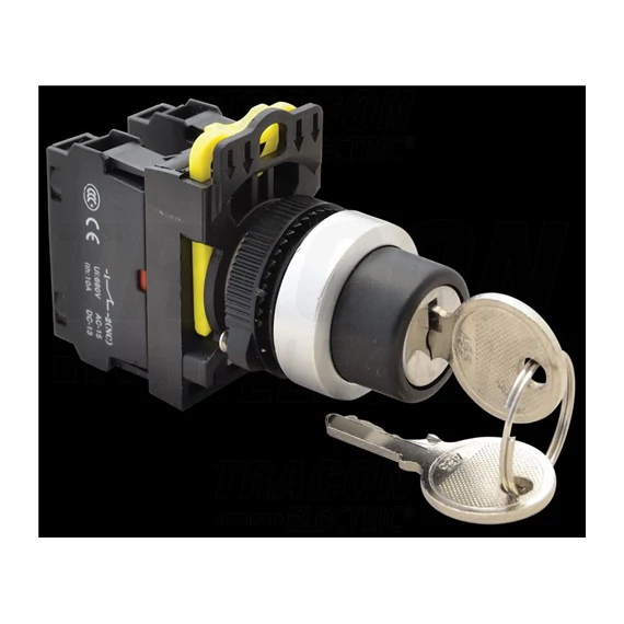 Kulcsos kapcsoló 1×NO+1×NC, 5A/230V AC-15, IP42