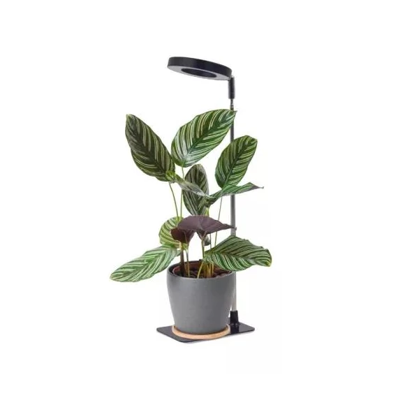 LED növénynevelő lámpa LED VERDI V2 5W 1300K Kobi Design fekete KOBI-004017