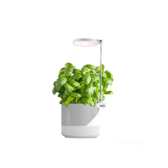LED növénynevelő lámpa LED VERDI 10W 3200K KOBI-001458