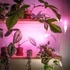 LED növénynevelő lámpa LED PLANTY CLIP W DUO 2xE27 white KOBI-004017